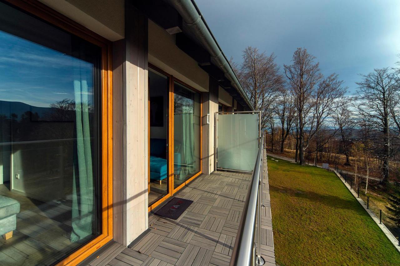 Trevilles Apartamenty Nice View Шклярска-Поремба Экстерьер фото